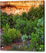 Cliff Palace At Mesa Verde National Park - Colorado Acrylic Print