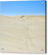 Climb The Dune Acrylic Print