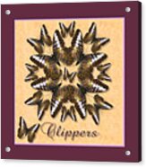 Clipper Butterfly Pin Wheel Acrylic Print