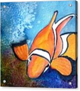 Clown Fish Acrylic Print