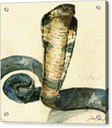 Cobra Snake Watercolor Painting Art Wall Acrylic Print