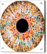 Color Blindness, Conceptual Image Chart Acrylic Print