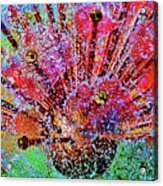 Color Explosion Acrylic Print