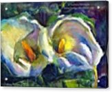 Colorful Calla Flowers Painting By Acrylic Print