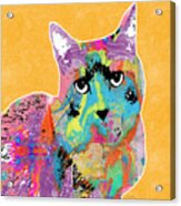 Colorful Cat With An Attitude- Art By Linda Woods Acrylic Print