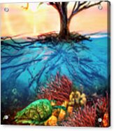 Colorful Coral Seas Acrylic Print