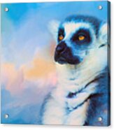 Colorful Expressions Lemur Acrylic Print