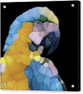 Colorful Glass Parrot Acrylic Print