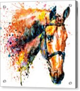 Colorful Horse Head Acrylic Print