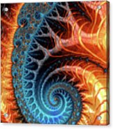 Colorful Luxe Fractal Spiral Turquoise Brown Orange Acrylic Print