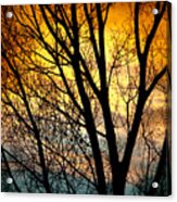 Colorful Sunset Silhouette Acrylic Print