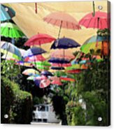 Colorful Umbrellas Acrylic Print