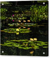 Colorful Waterlily Pond Acrylic Print