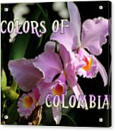 Colors Of Colombia Acrylic Print