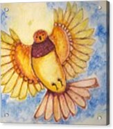 Concerning Angel Bird Acrylic Print