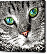 Cool Fractalized Cat Portrait With Amazing Eyes Acrylic Print