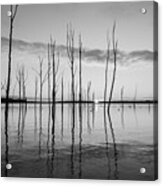 Cool Reflections In Black And White Acrylic Print