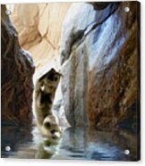 Cooling Off Acrylic Print