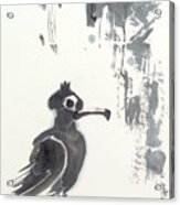 Cormorant On Rock Acrylic Print