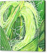 Corn Silk Acrylic Print