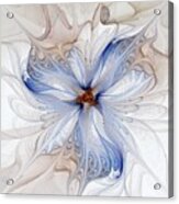 Cornflower Blues Acrylic Print