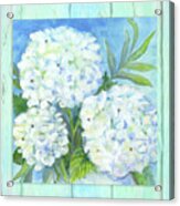 Cottage At The Shore 5 White Hydrangea Floral Over Wood Acrylic Print
