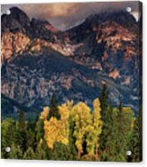 Cottonwoods Fir Trees Fall Color Grand Tetons Nat Acrylic Print