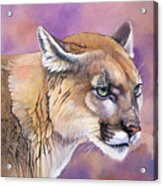 Cougar, Catamount, Mountain Lion, Puma Acrylic Print
