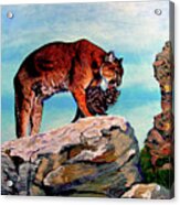 Cougars Mother And Cub Acrylic Print