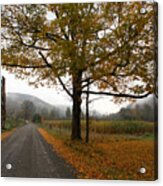 Country Road Acrylic Print