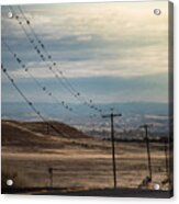 Country Road Acrylic Print