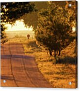Country Roads To Home Acrylic Print