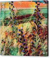 Country Wildflowers Painting Acrylic Print