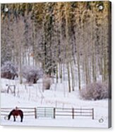 Country Winter Morning Acrylic Print