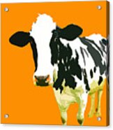 Cow In Orange World Acrylic Print