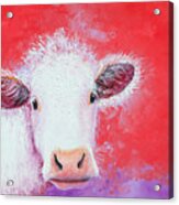 Cow Painting - Charolais Acrylic Print