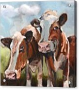 Cow Pasture Cuties Acrylic Print