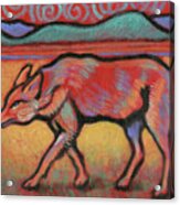 Coyote Totem Acrylic Print