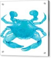 Crab Painting Acrylic Print