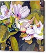Crabapple Bonsai In Bloom Acrylic Print