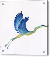 Crane In Flight Acrylic Print