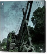 Crane Acrylic Print