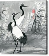 Cranes - 12 Acrylic Print