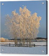 Creamer Field Acrylic Print