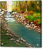 Creek In The Spring Acrylic Print