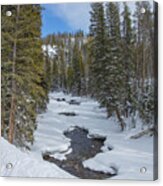 Crossing The Elk Acrylic Print