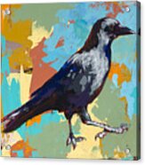 Crow #2 Acrylic Print