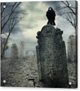 Crow On The Tombstone. Halloween Design. Acrylic Print