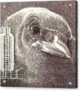 Crow Over Casino Windsor Acrylic Print