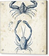 Crustaceans - 1825 - 01 Acrylic Print